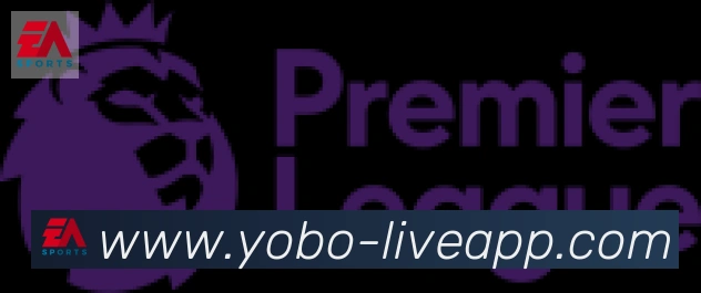 yobo体育合作伙伴